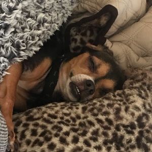 Meet your Posher, Rhonda